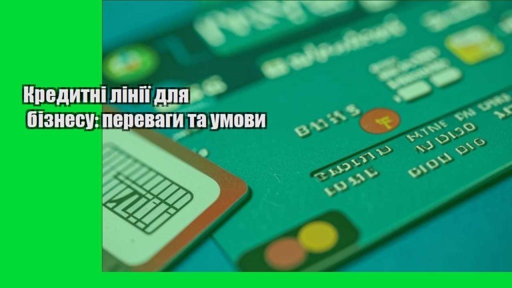 kredytni liniyi dlya biznesu perevagy ta umovy