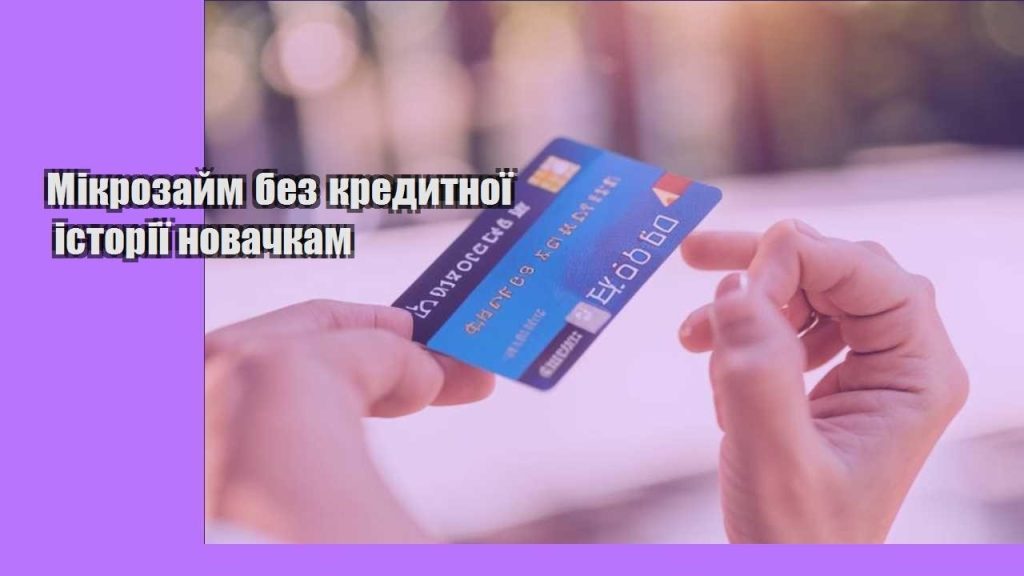 mikrozajm bez kredytnoyi istoriyi novachkam